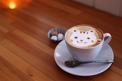 coffe-cute-kawaii-kitty-photography-Favim.com-114952